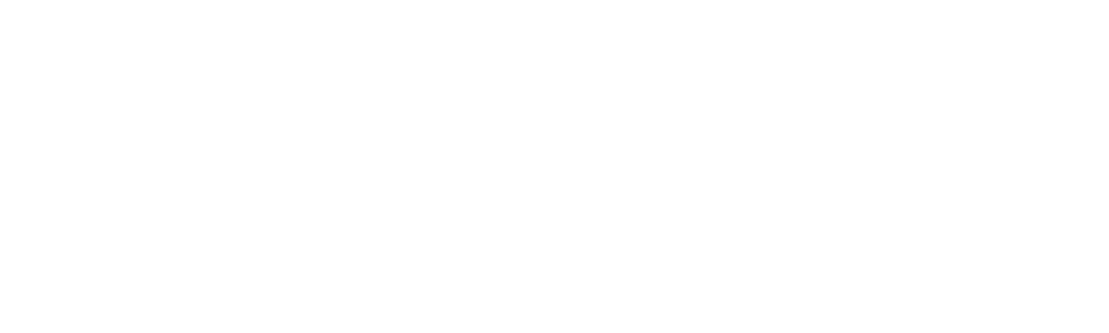 Saudi MT
