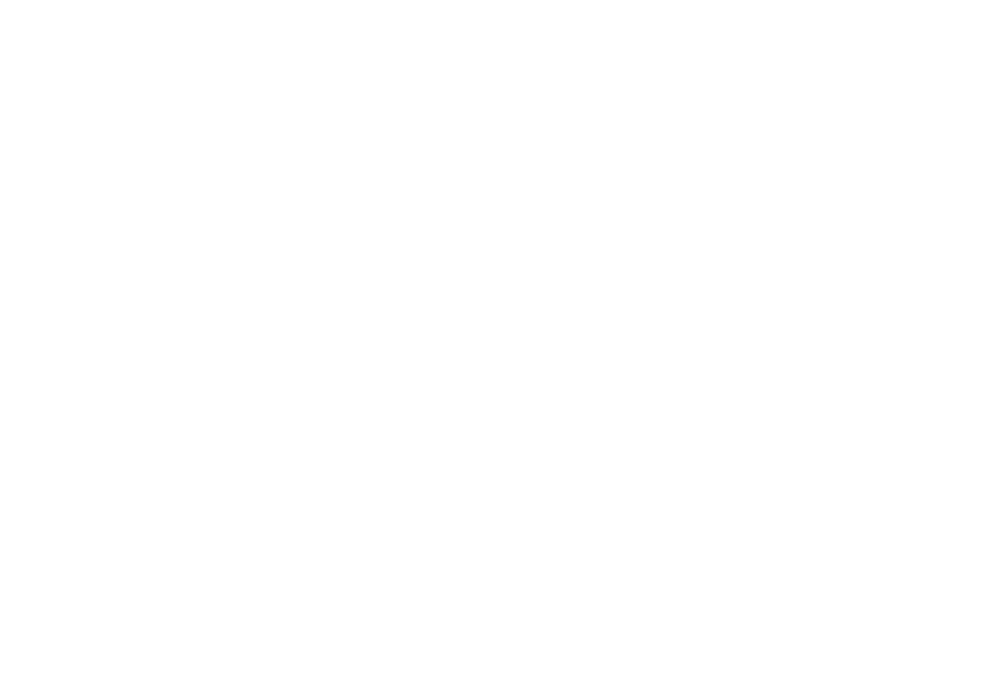 Saudi MT